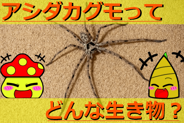 Thumbnail of post image 072